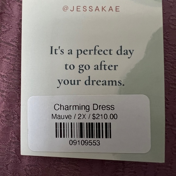 JessaKae Charming Dress BNWT - Mauve - 2X - Picture 5 of 6